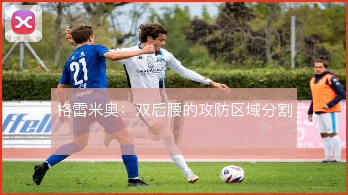 格雷米奥：双后腰的攻防区域分割